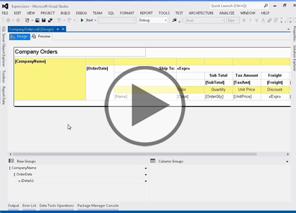 SSRS 2012, Part 04: Expressions and Functions