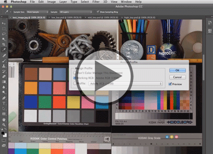 Photoshop CC In Depth, Part 2: Color and Objects