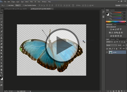 Photoshop CC, Part 3: Retouching and Painting